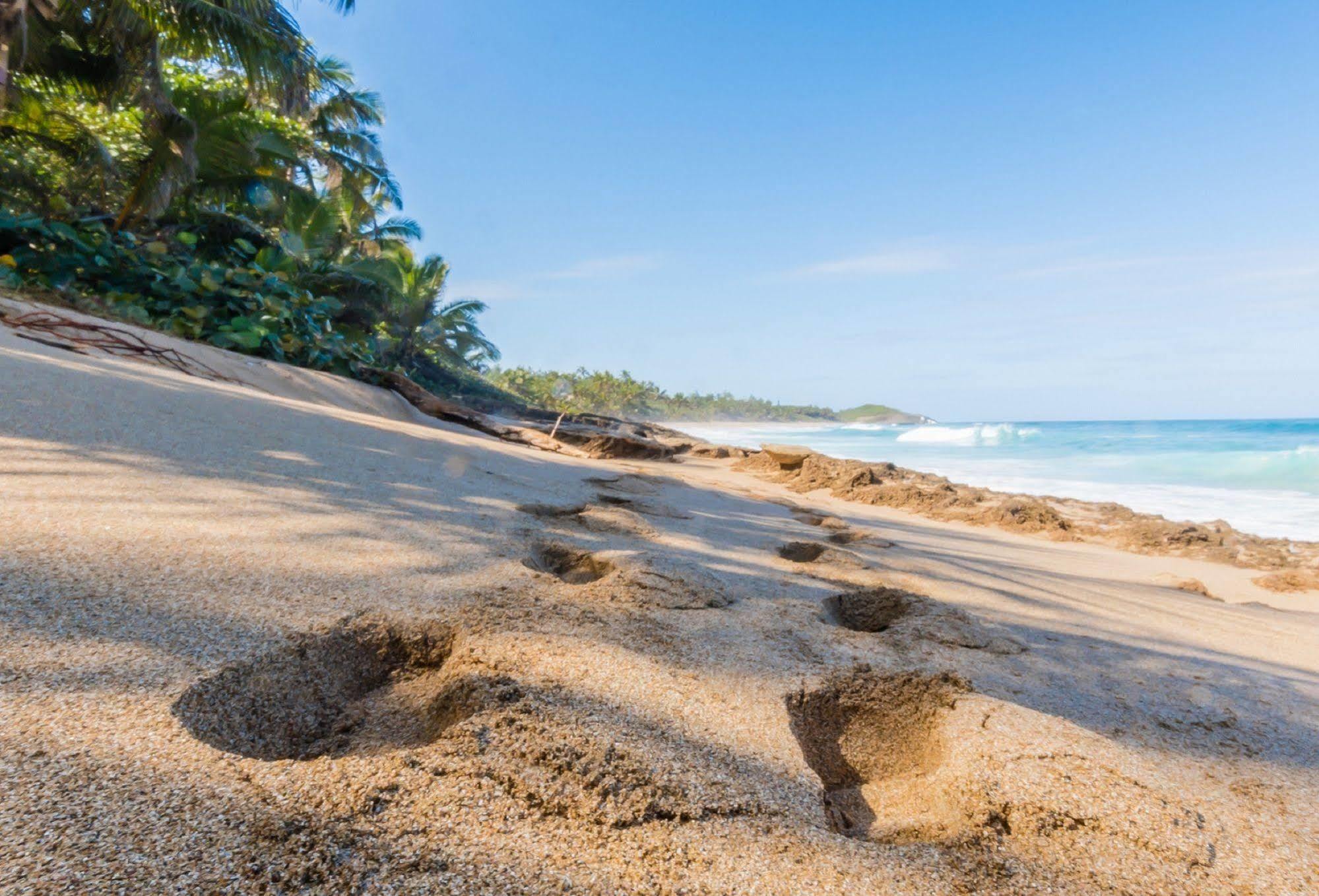 Ventana Al Atlantico At Arecibo 681 Ocean Drive Daire Islote Dış mekan fotoğraf