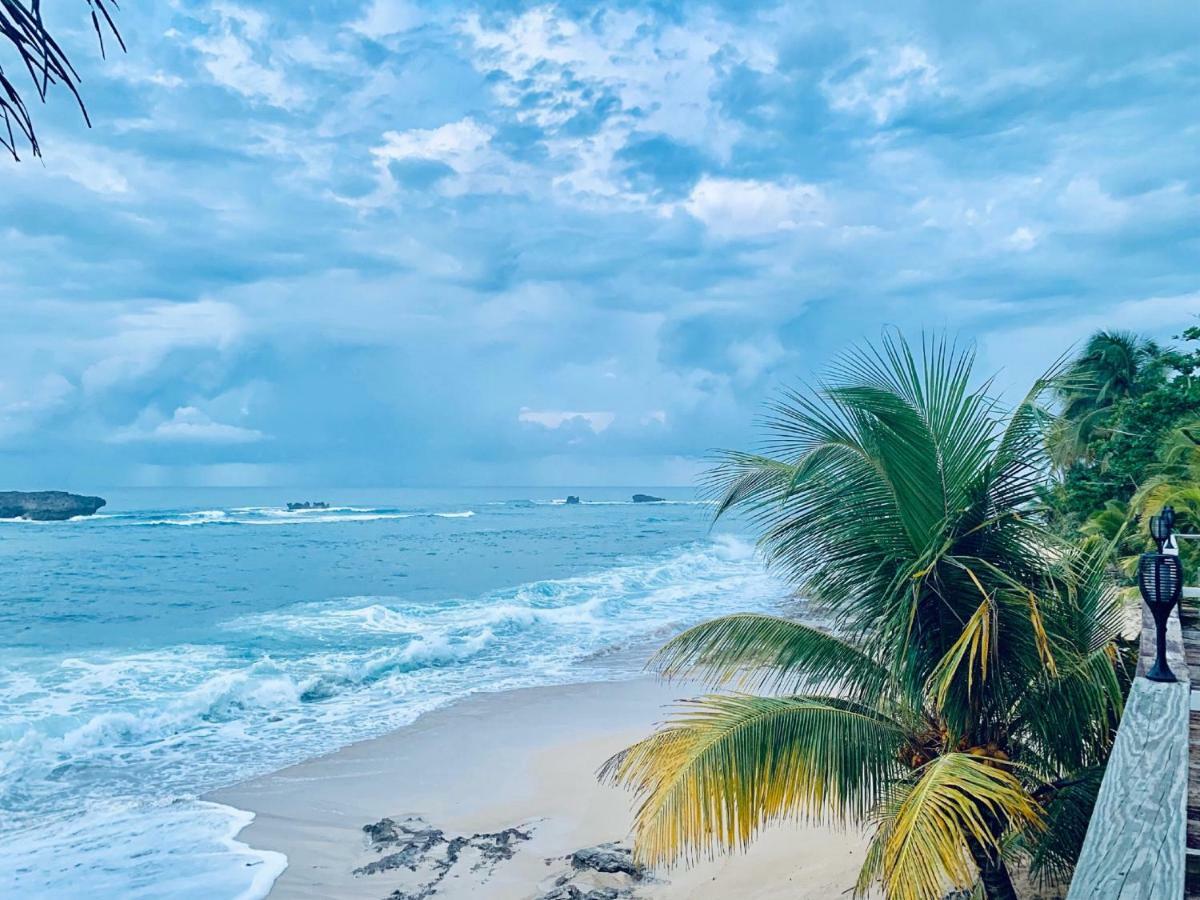 Ventana Al Atlantico At Arecibo 681 Ocean Drive Daire Islote Dış mekan fotoğraf