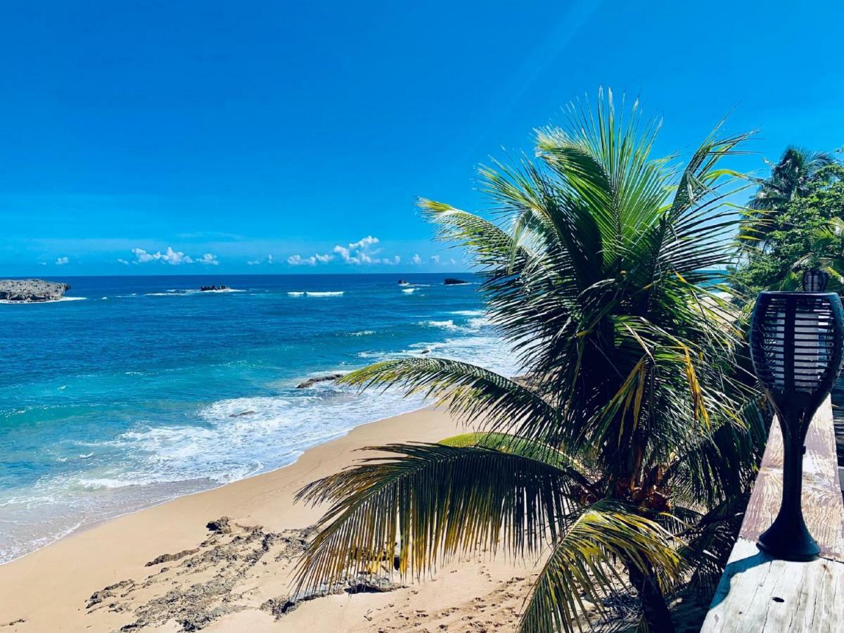 Ventana Al Atlantico At Arecibo 681 Ocean Drive Daire Islote Dış mekan fotoğraf